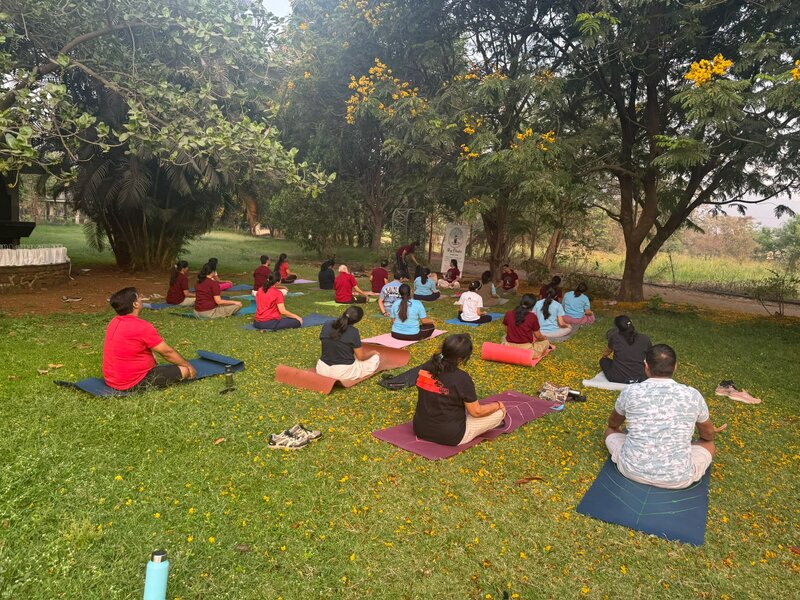 Sunday Wellness Session outdoor community gathering